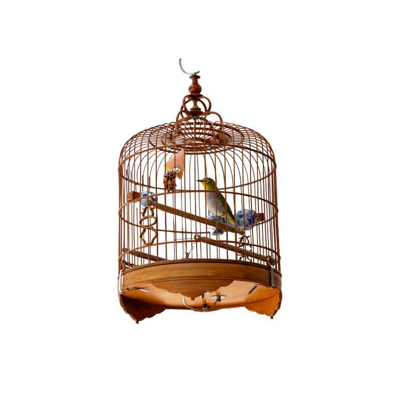 Macaw Bird Cage With Waterfall And Social Area photo