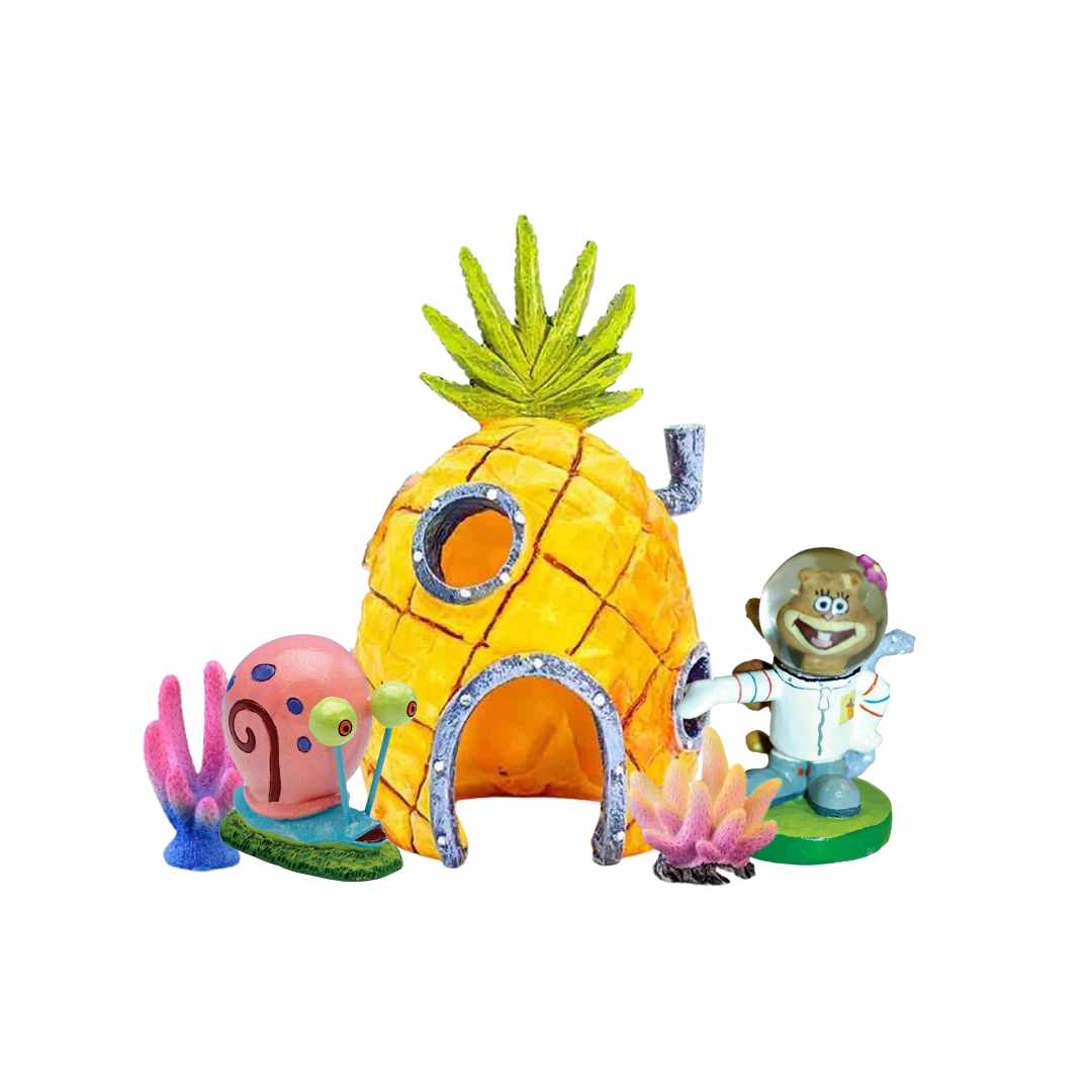 Image showcasing DECORATIONS – The Real Macaw Pet Shop
