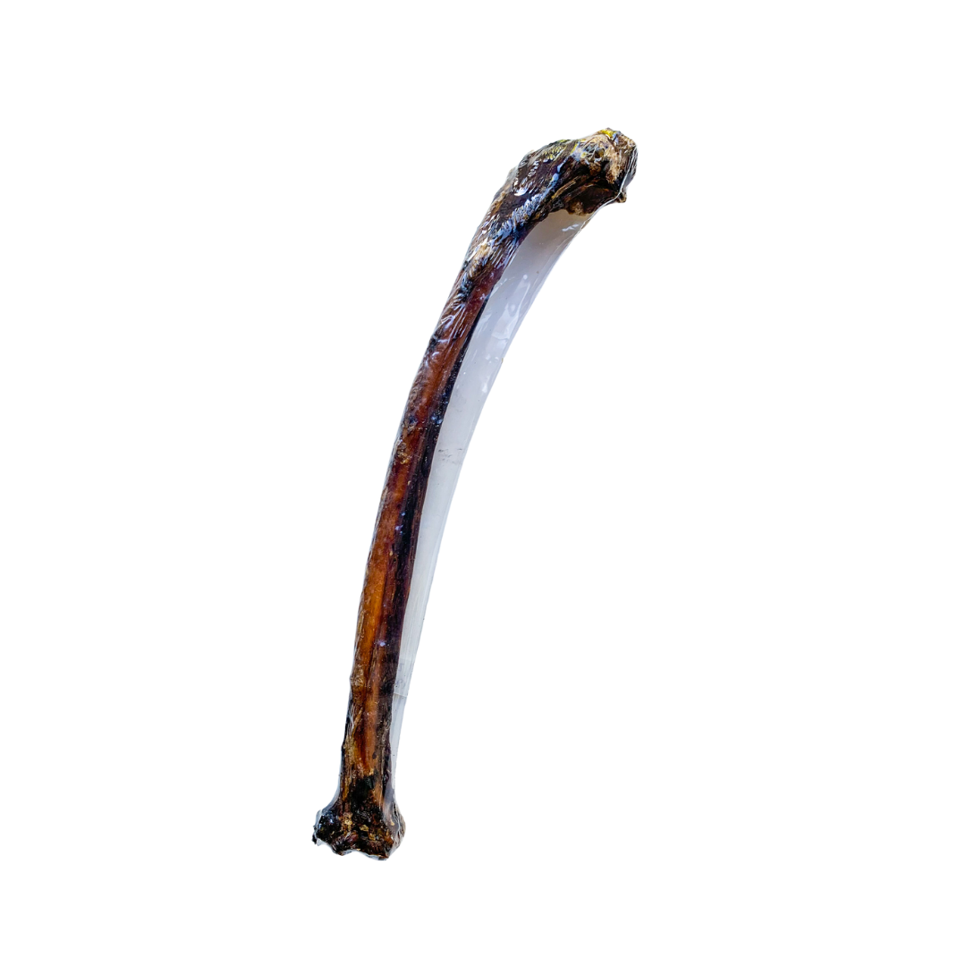 MBUNI Ostrich Wing Bone