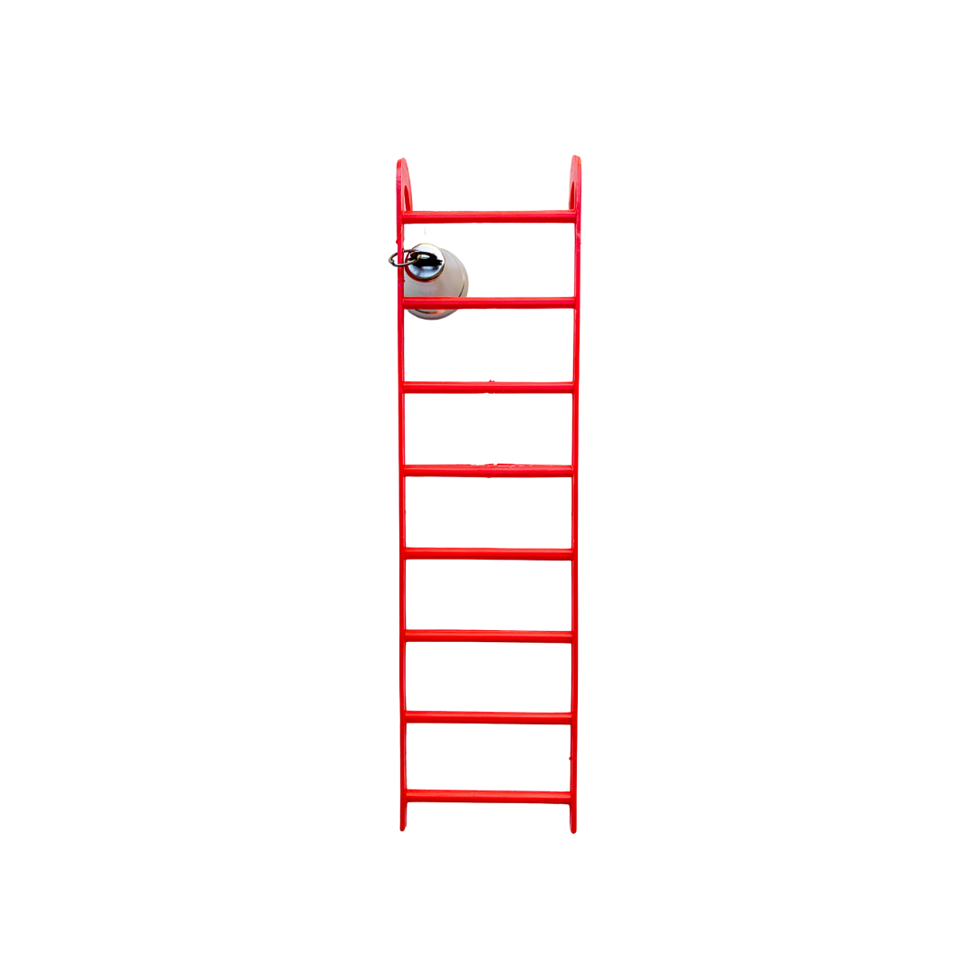 Ladder For Budgie Plastic With Bell