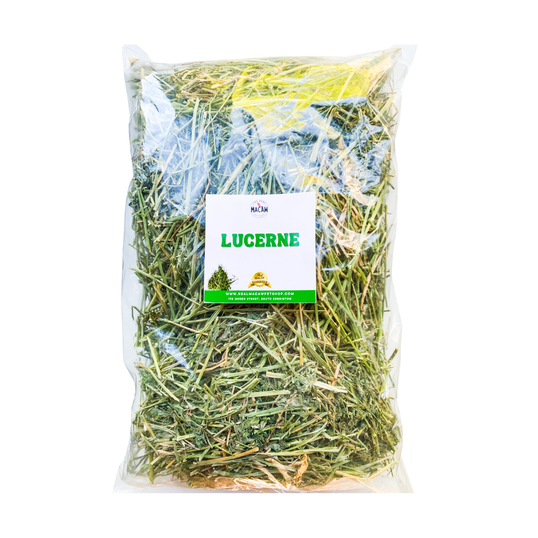 Lucerne Hay Packet