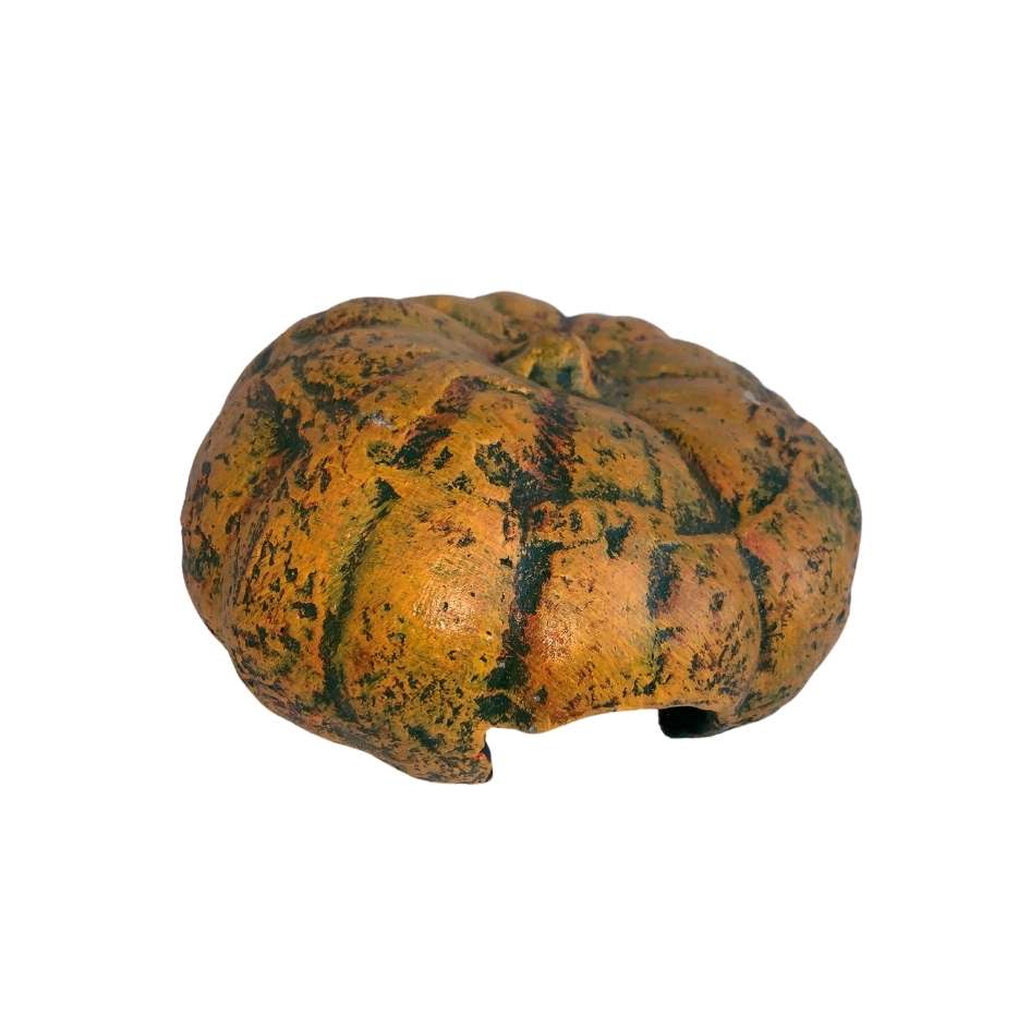Pumpkin Hide