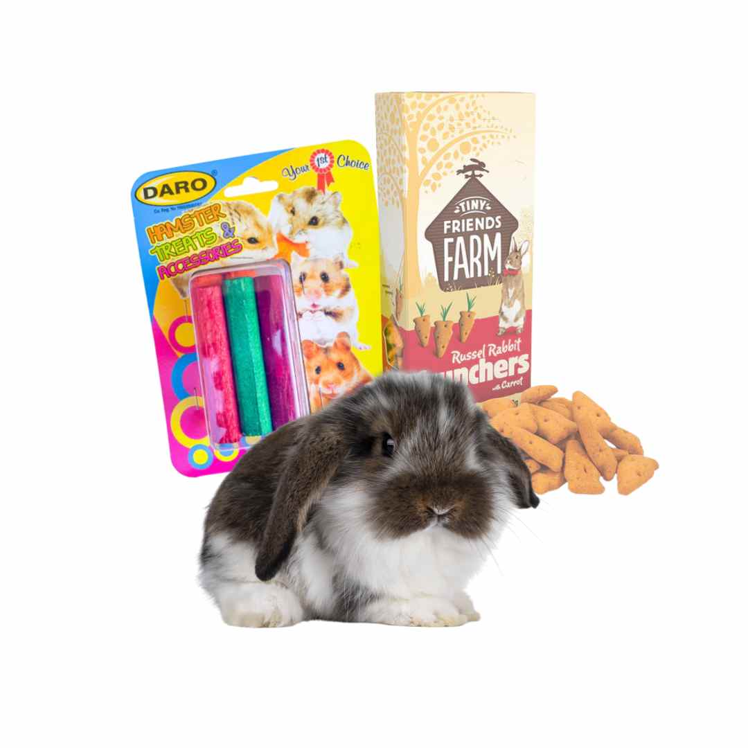 SMALL ANIMAL TREATS