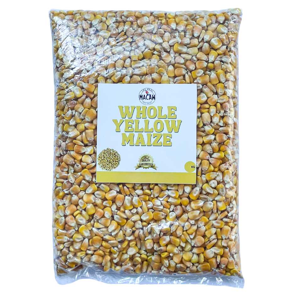 Whole Yellow Maize