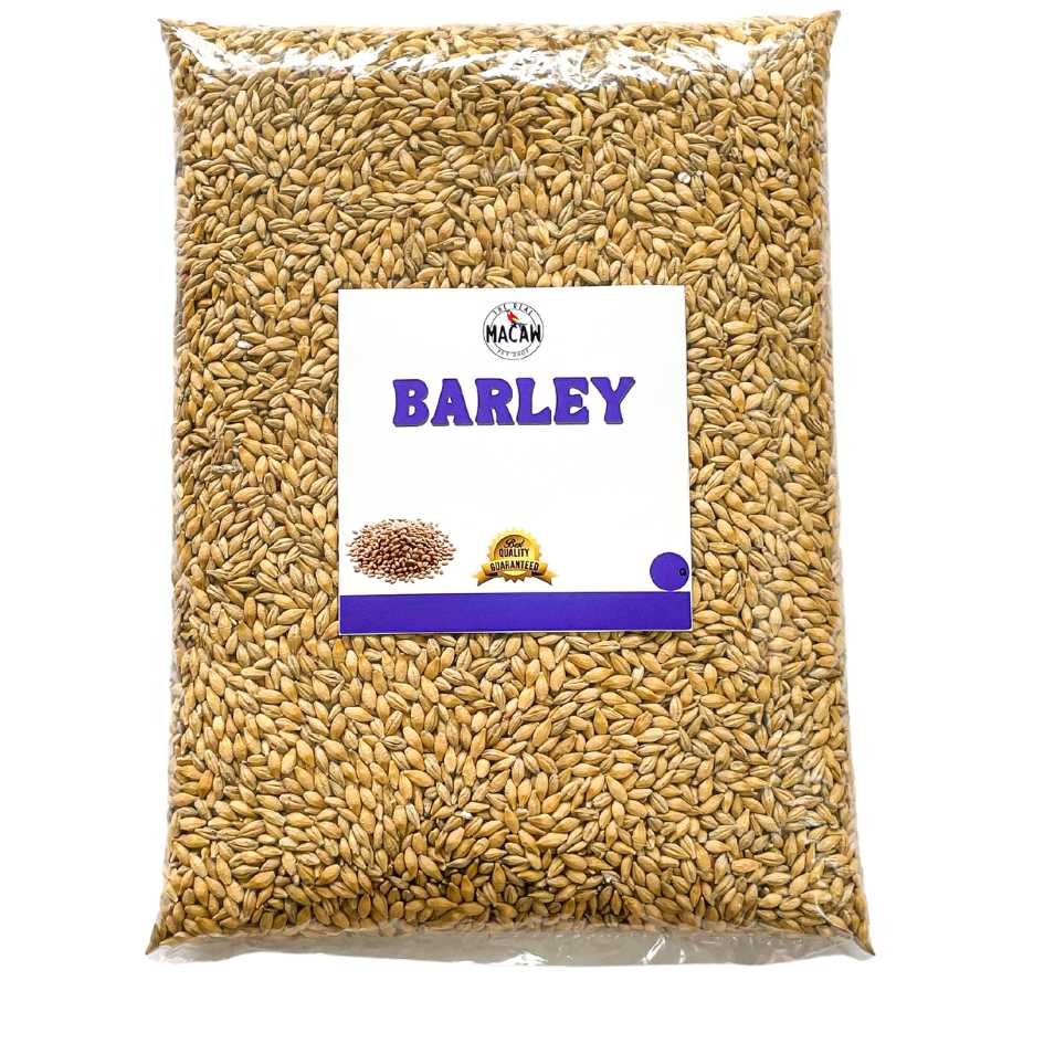 Barley 500g