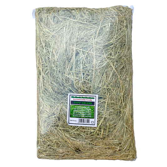 Teff Grass Block 1.5 Kg