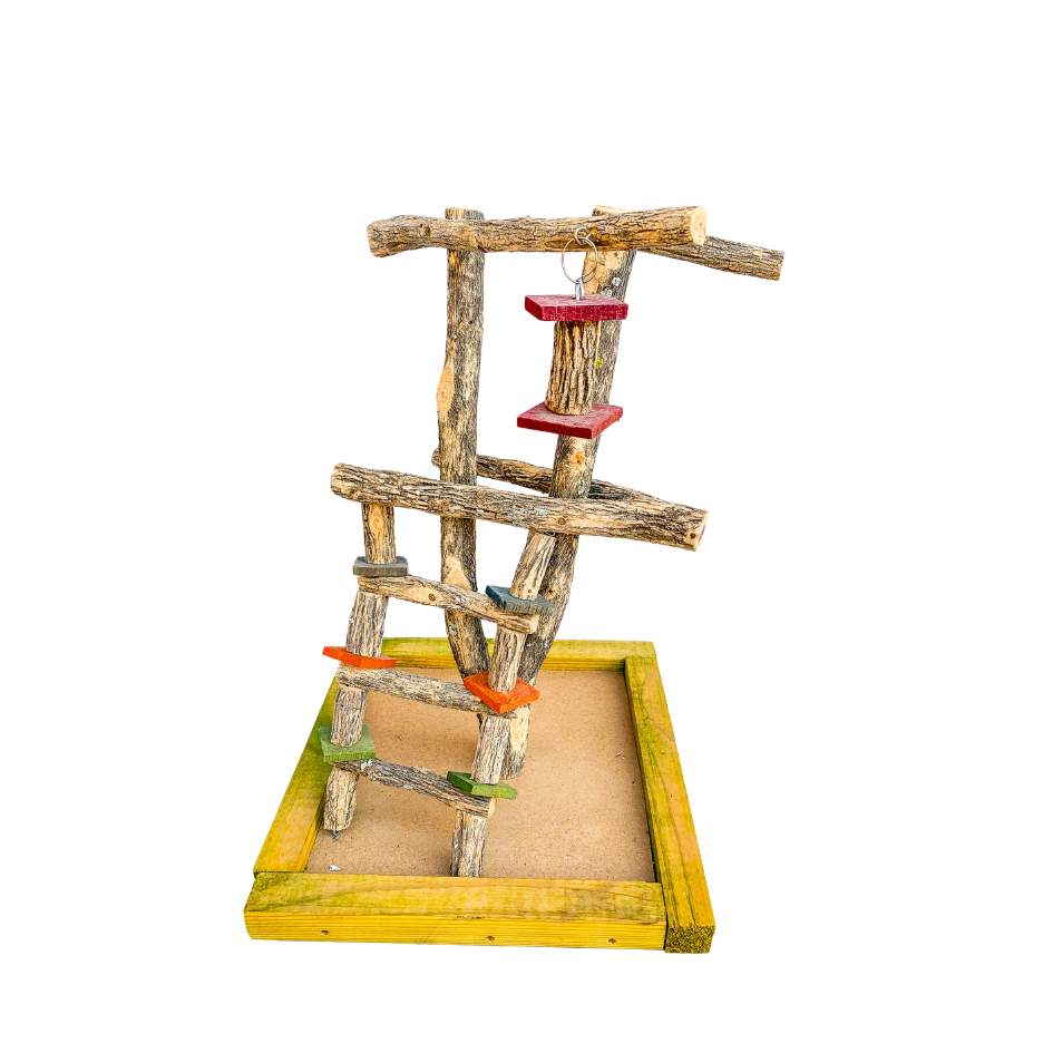 Cage Top Tree Play Stand