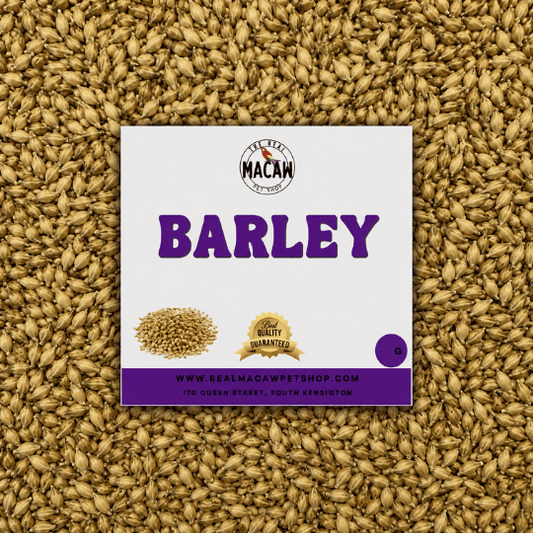 Barley 500g