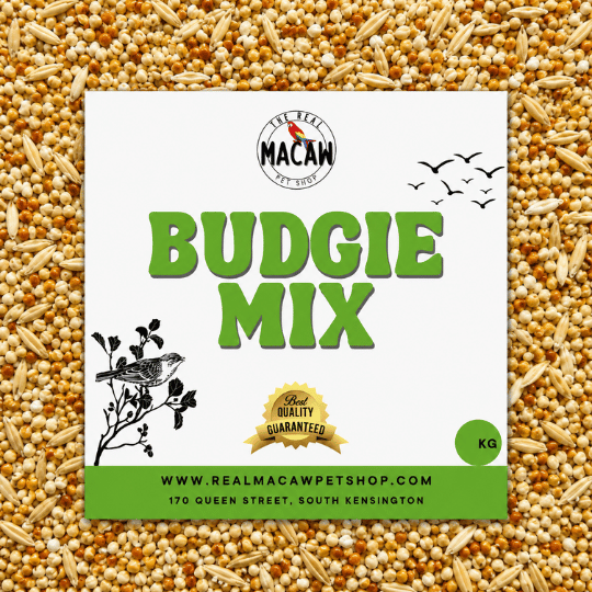 Budgie Mix