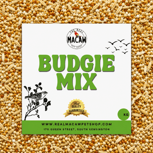 Budgie Mix