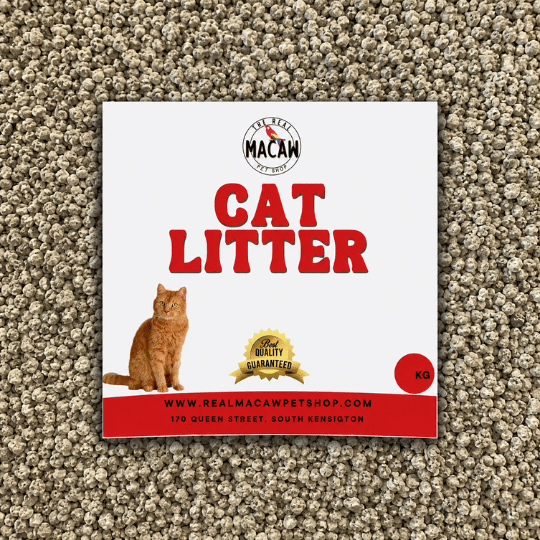 Cat Litter