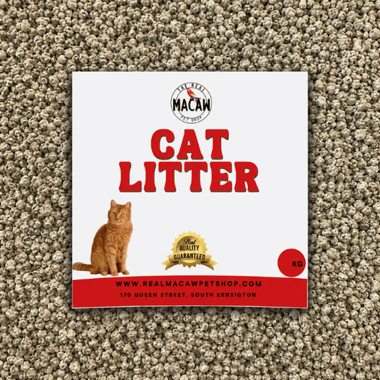 Cat Litter