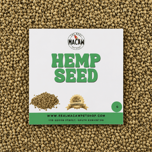 Hemp Seed 500g