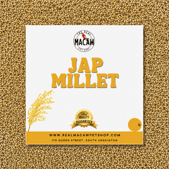 Jap Millet 500g