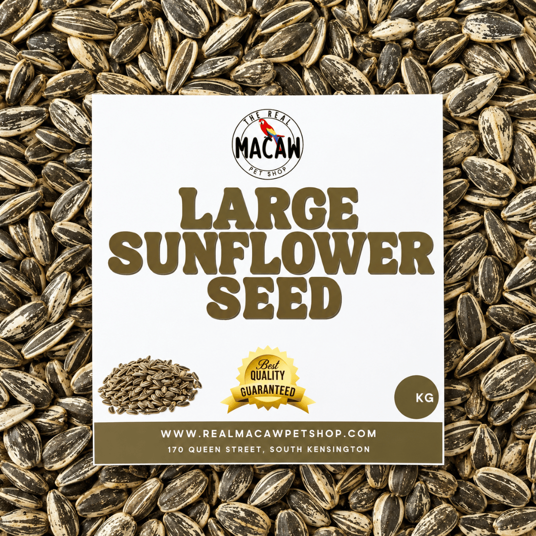 Large Sunflower 1 Kg