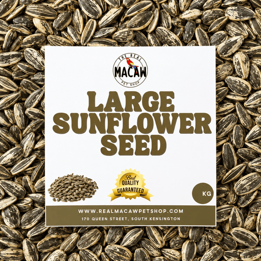 Large Sunflower 1 Kg