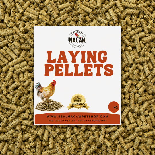 Laying Pellets 5 Kg