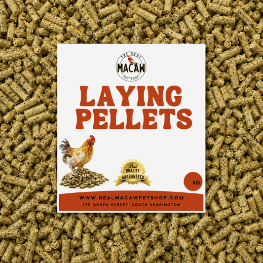 Laying Pellets 5 Kg