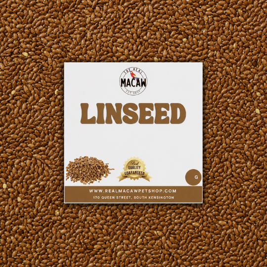 Linseed 500g