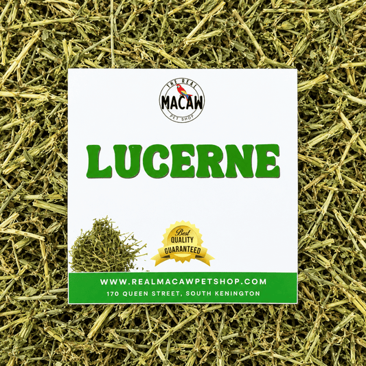 Lucerne Hay Packet