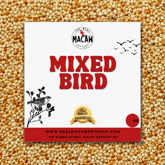 Bird & Finch Mix