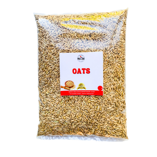 Oats 500g