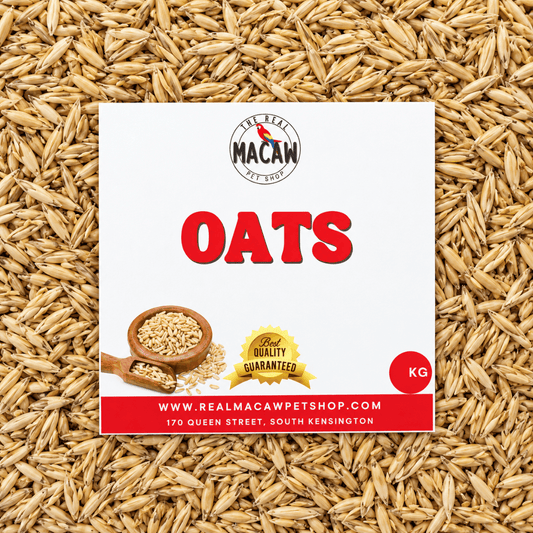 Oats 500g