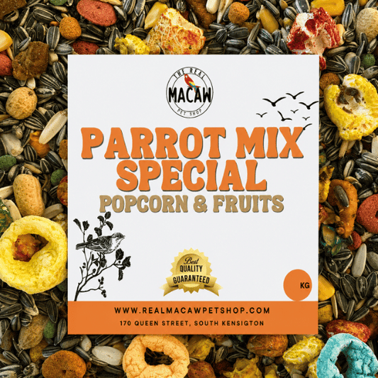 Parrot Mix Special Popcorn & Fruits