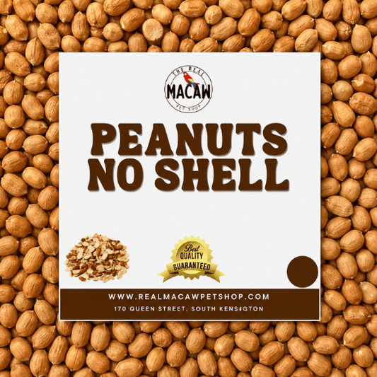 Peanuts No Shell