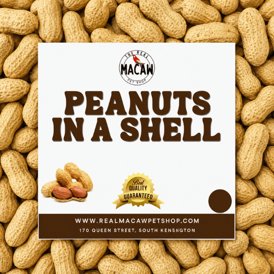 Peanuts In Shell