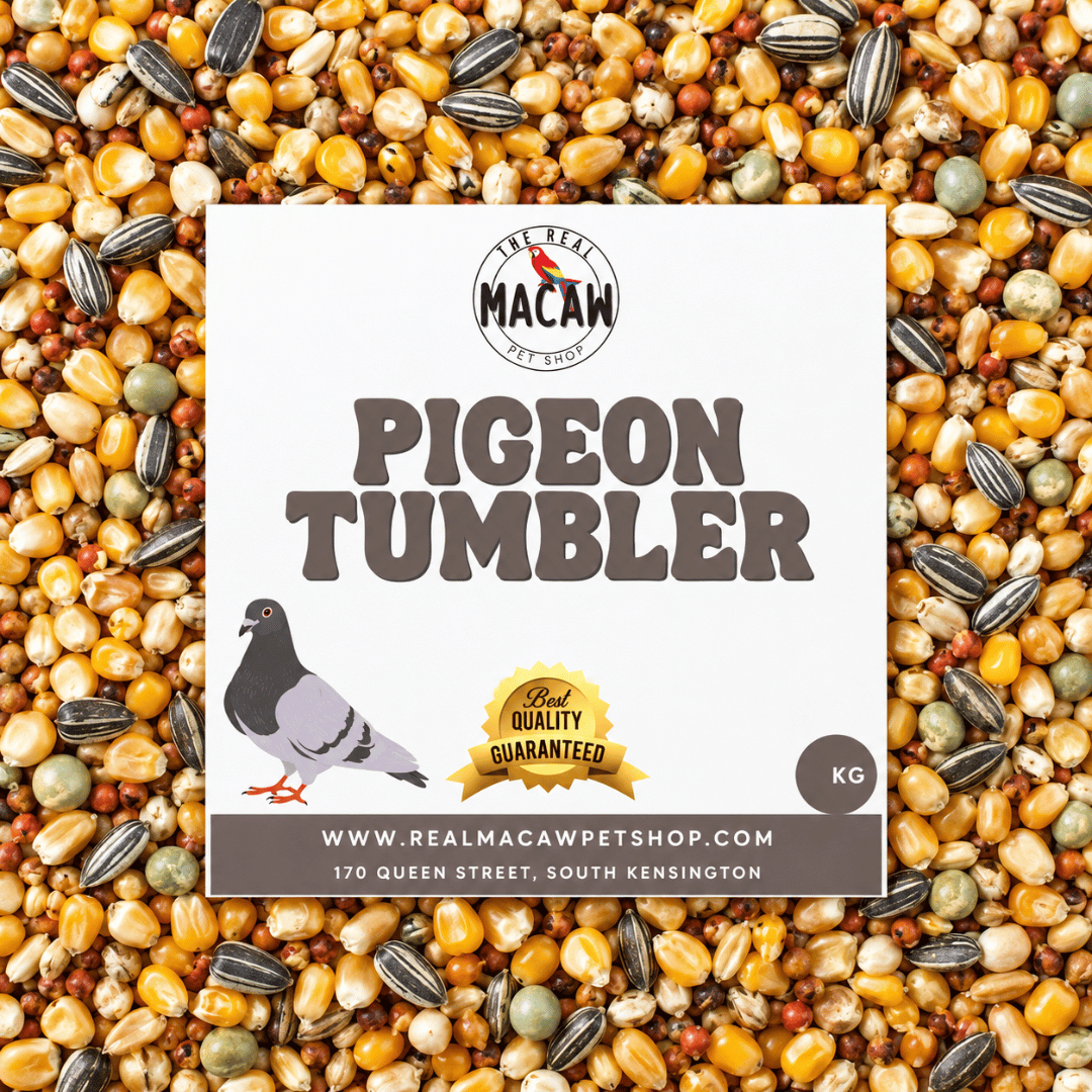 Pigeon Tumbler Mix 5 Kg