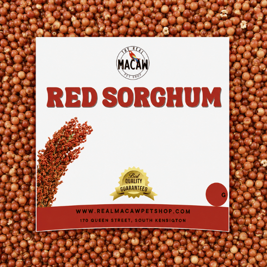 Red Sorghum 500g