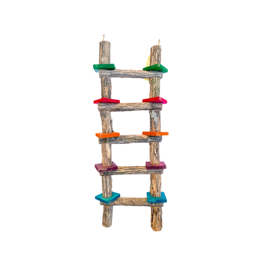 Small Rod Ladder