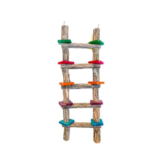 Small Rod Ladder