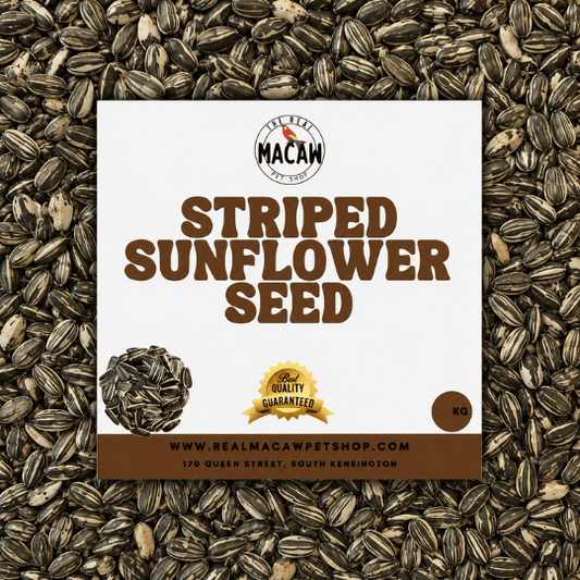 Striped Sunflower