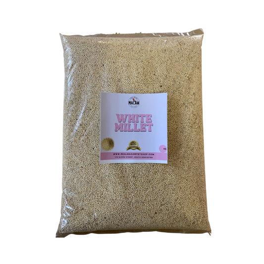 White Millet