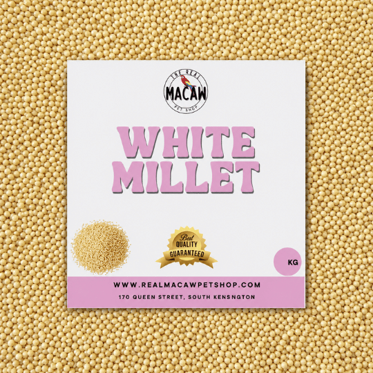 White Millet