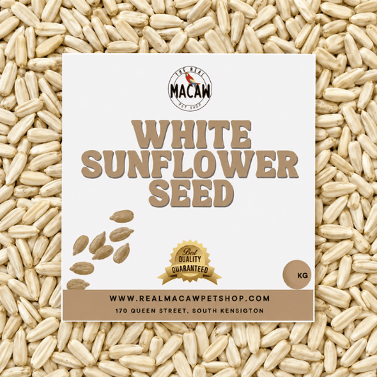 White Sunflower 1 Kg