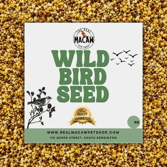 Wild Bird
