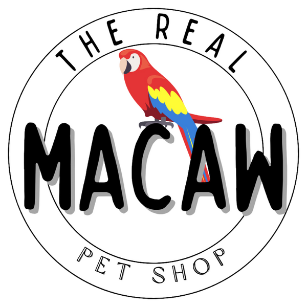 The Real Macaw Pet Shop